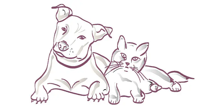 Illustration av en katt och en hund som ligger bredvid varandra.