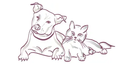 Illustration av en katt och en hund som ligger bredvid varandra.