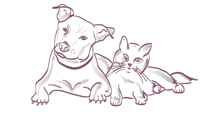 Illustration av en katt och en hund som ligger bredvid varandra