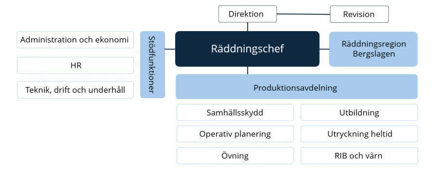 En schematisk bild över organisationen